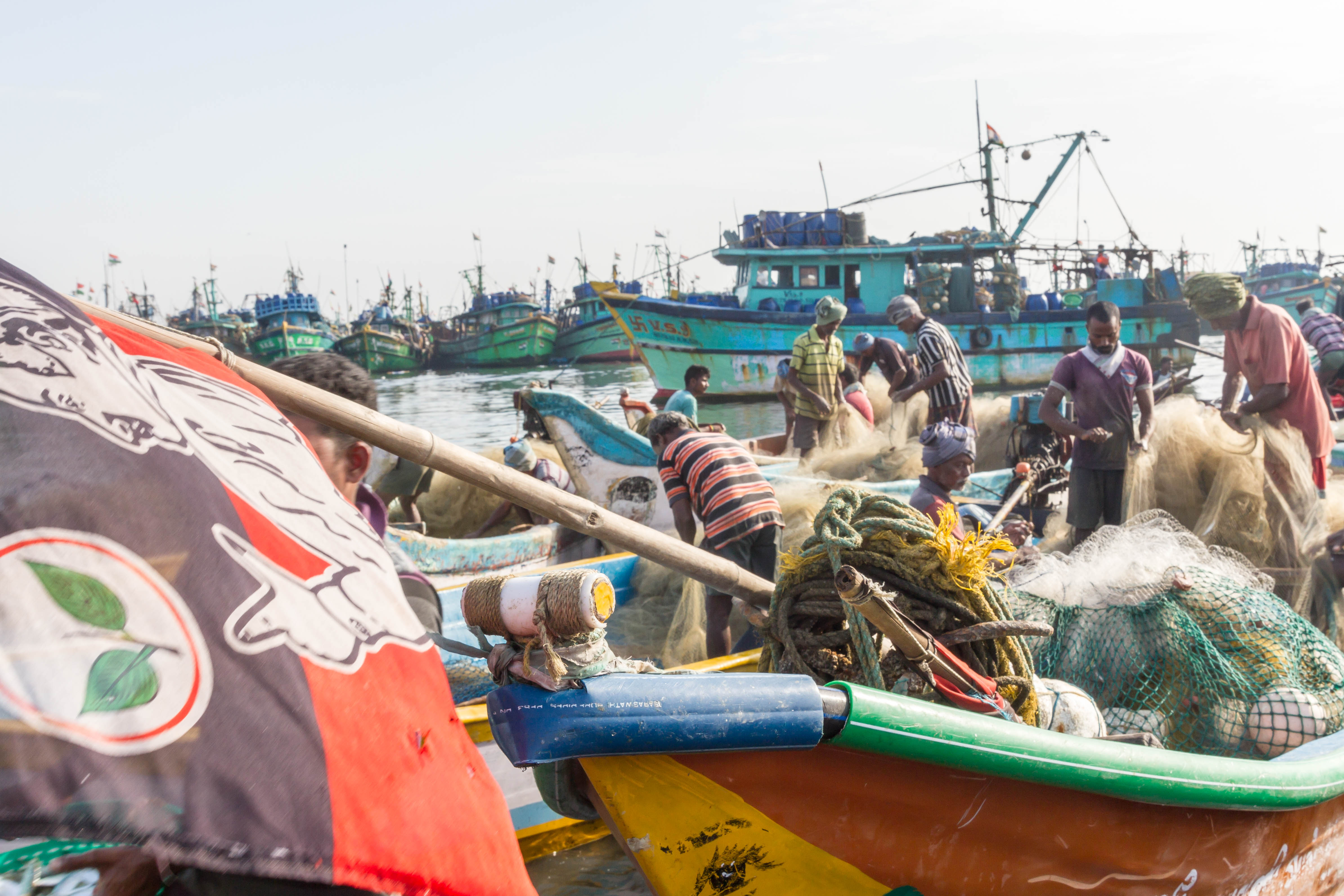 Daily Activities Of Kasimedu Fish Market. – colorsofchennaimanoj